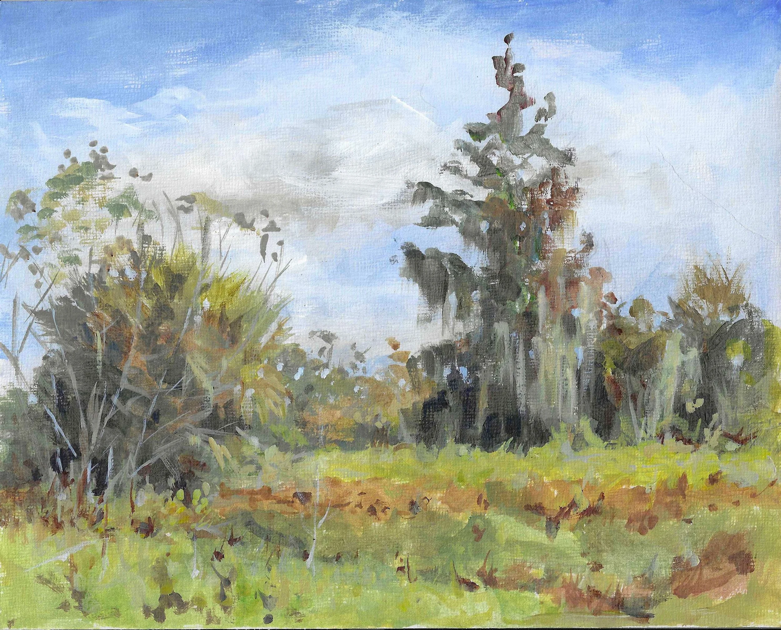 Circle B Bar 12/13/2025