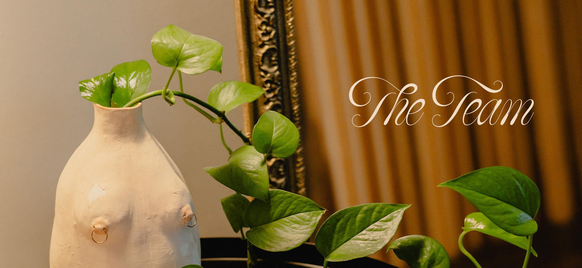 A decorative ceramic vase with a green leafy plant resting on a table, with the text "The Team" in elegant script over a blurred background.