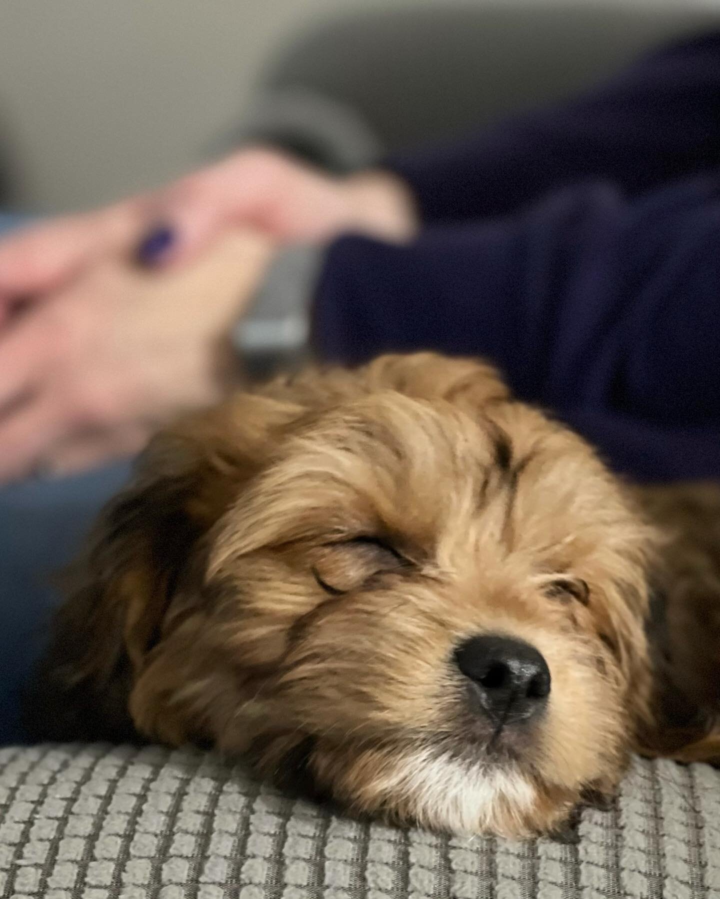 dreaming.jpg