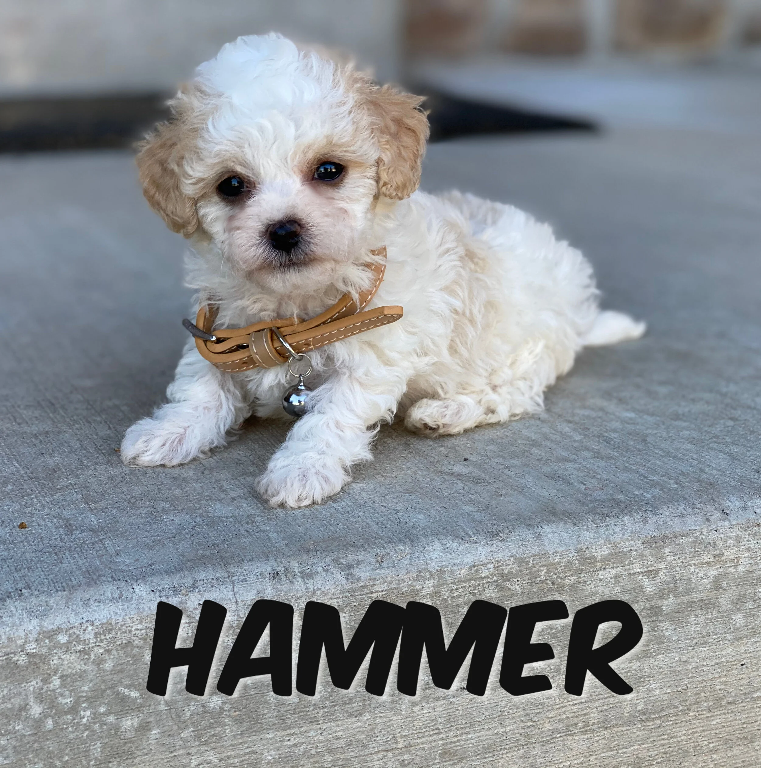 savingPNG (128).jpeg