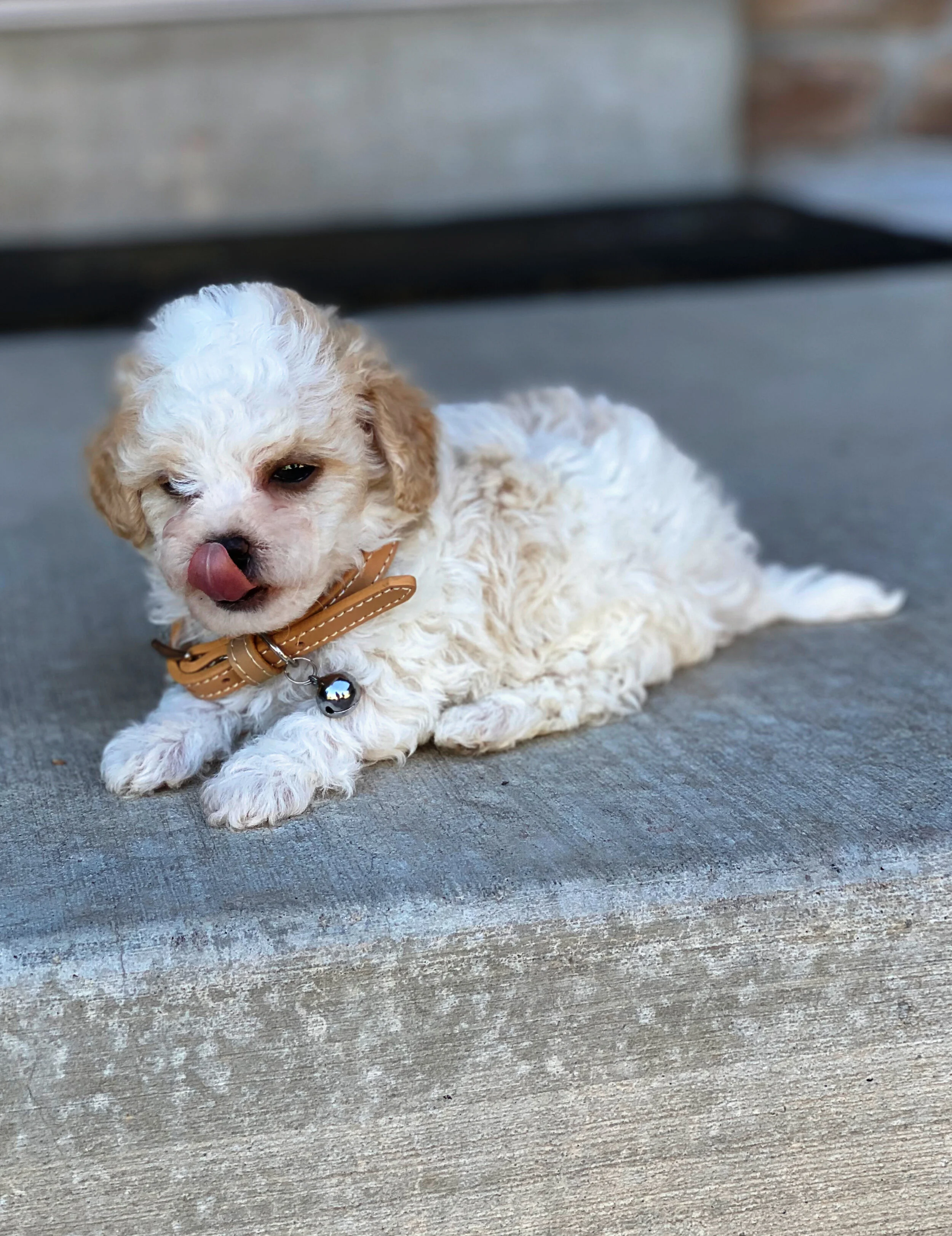 savingPNG (129).jpeg