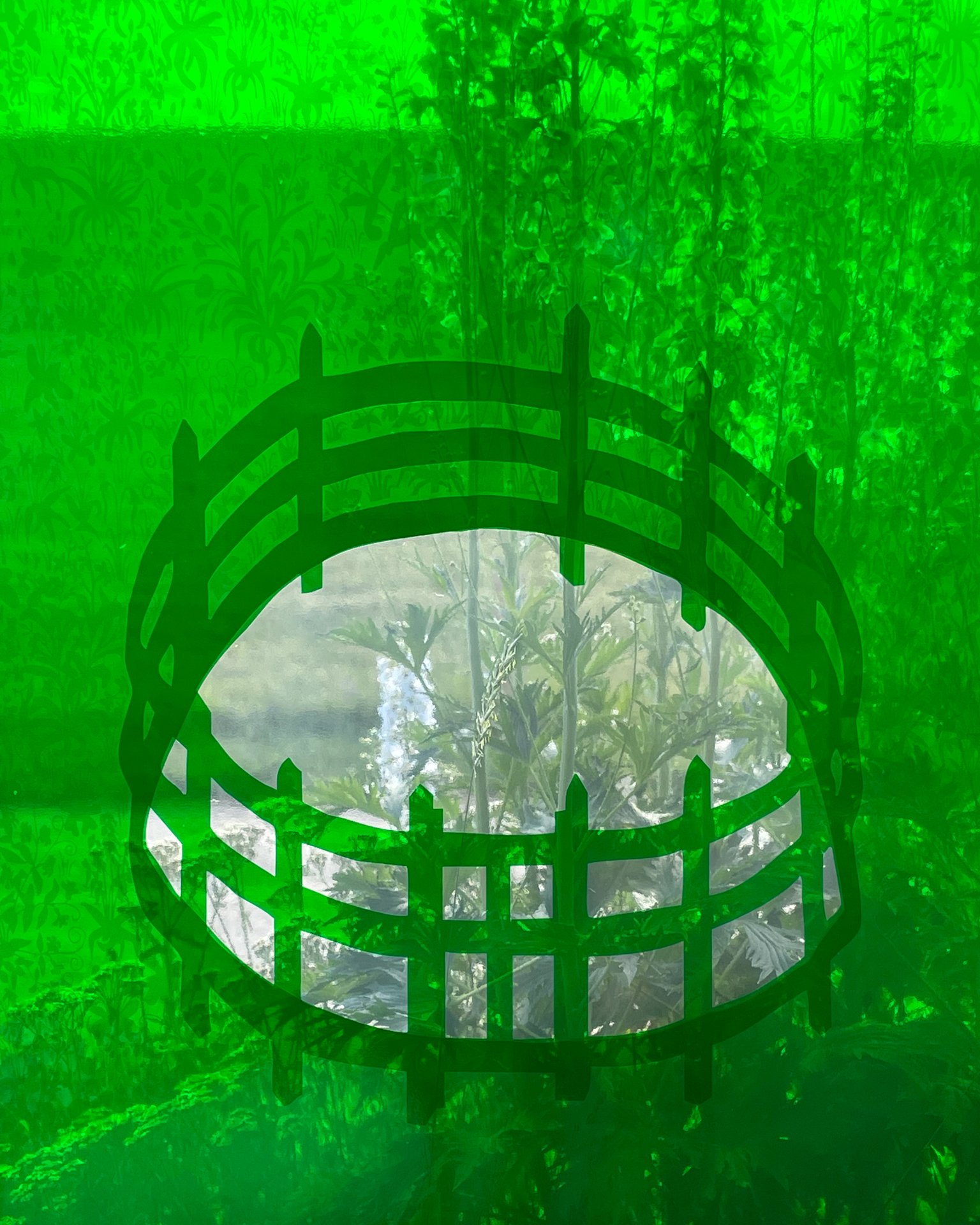 10green close up.jpg
