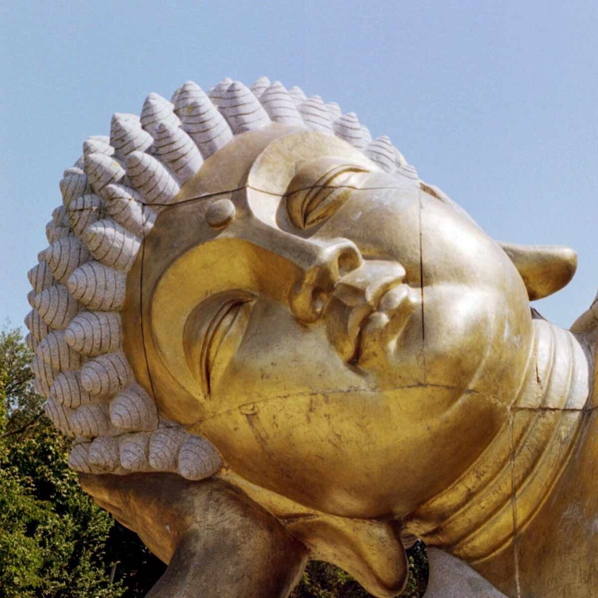 Shoot Film: Buddha Eden