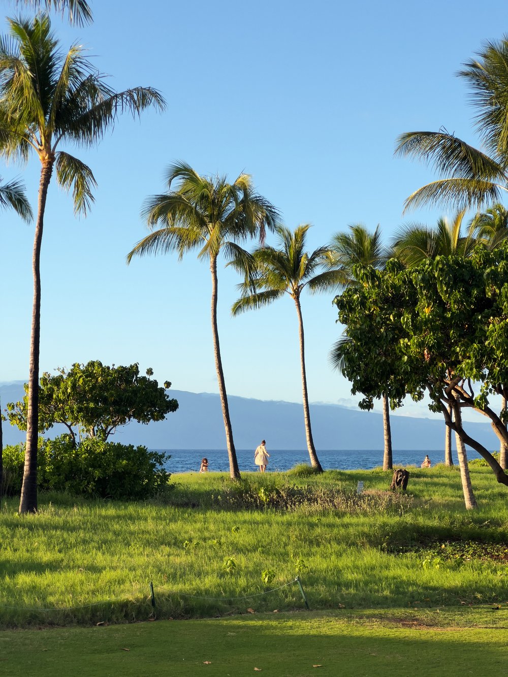 far away dress beach.jpg