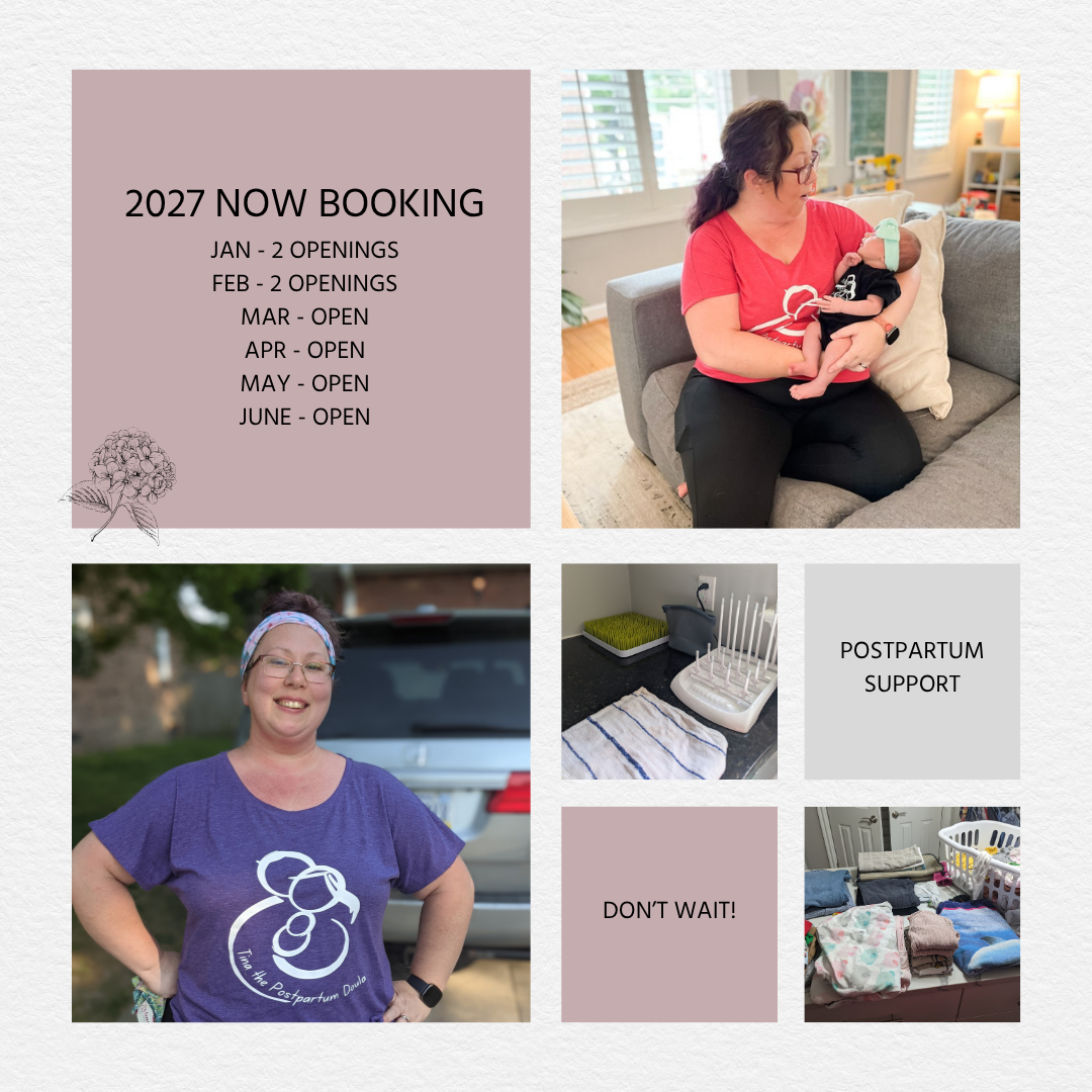 A collage of four images and text, promoting postpartum support bookings for 2027. The top left has booking details from January to June. The top right shows a woman holding a newborn on a sofa. The bottom left features a smiling woman wearing a purple T-shirt with a postpartum logo. The bottom middle shows a postpartum support setup with a baby bassinet and supplies. The bottom right displays neatly folded towels and baby essentials.