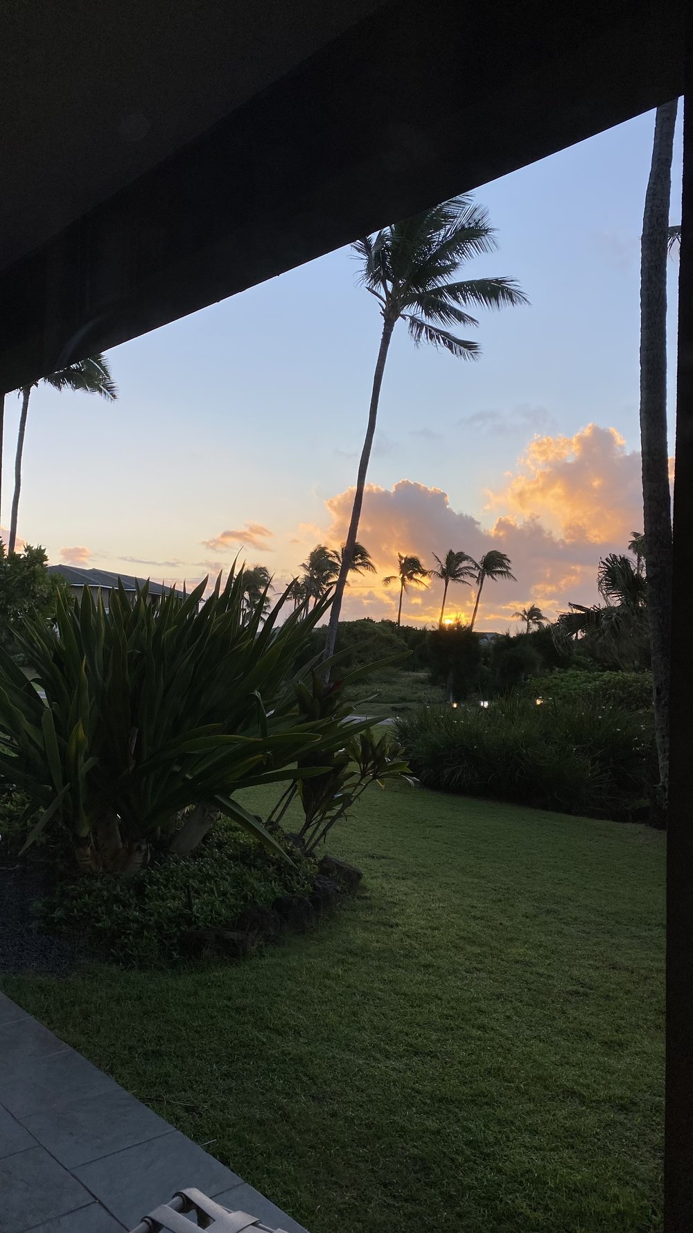  Sunrise - Hilton - The Point at Poipu, Kauai 