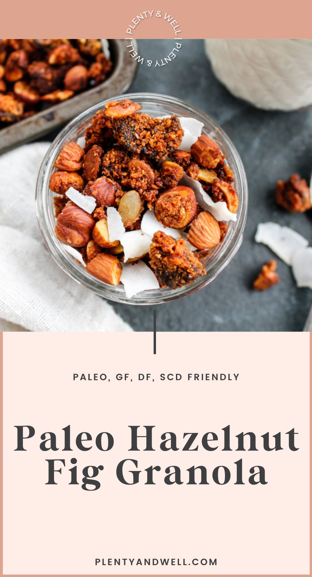 Paleo Tropical Granola — plenty and well
