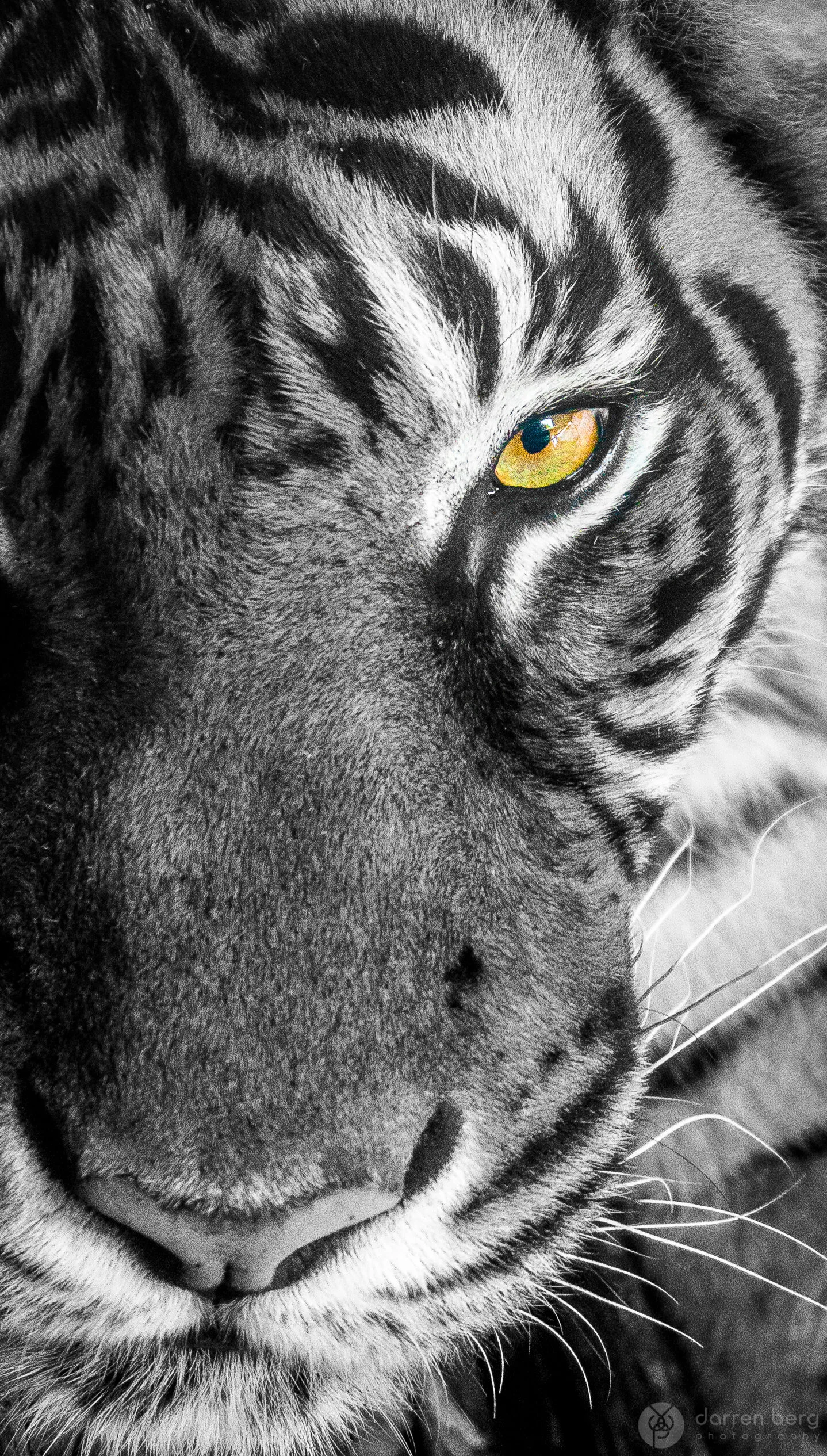 Keeping an Eye on You.jpg