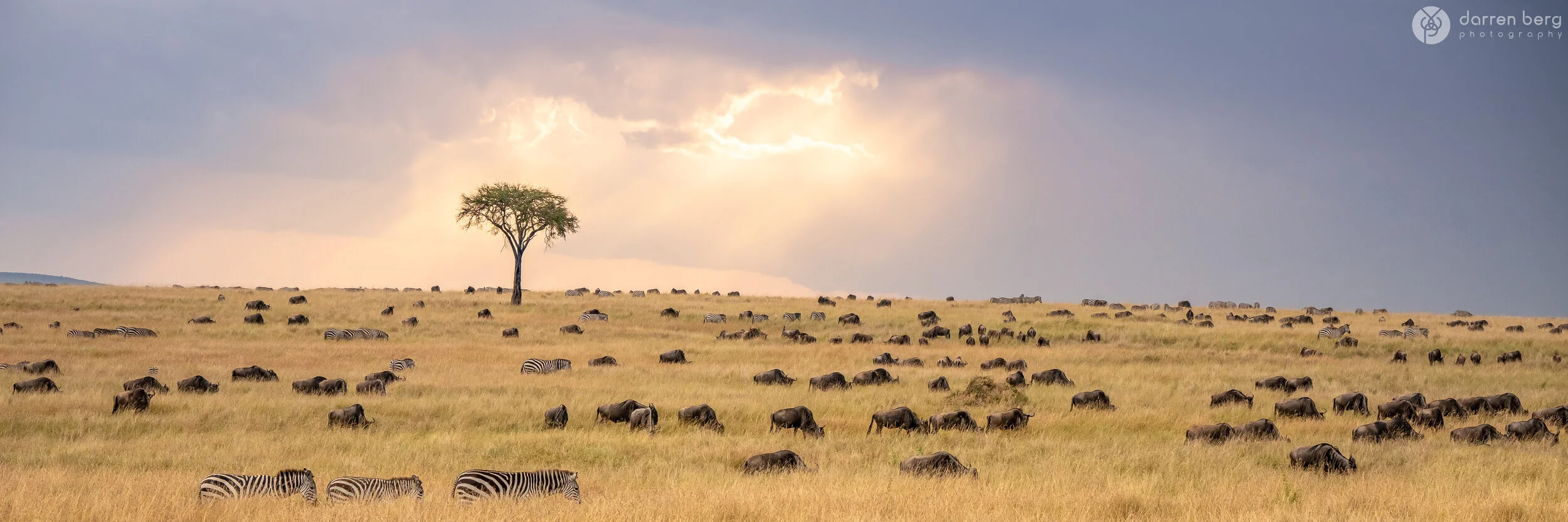 Mara Grazer's Rays.jpg