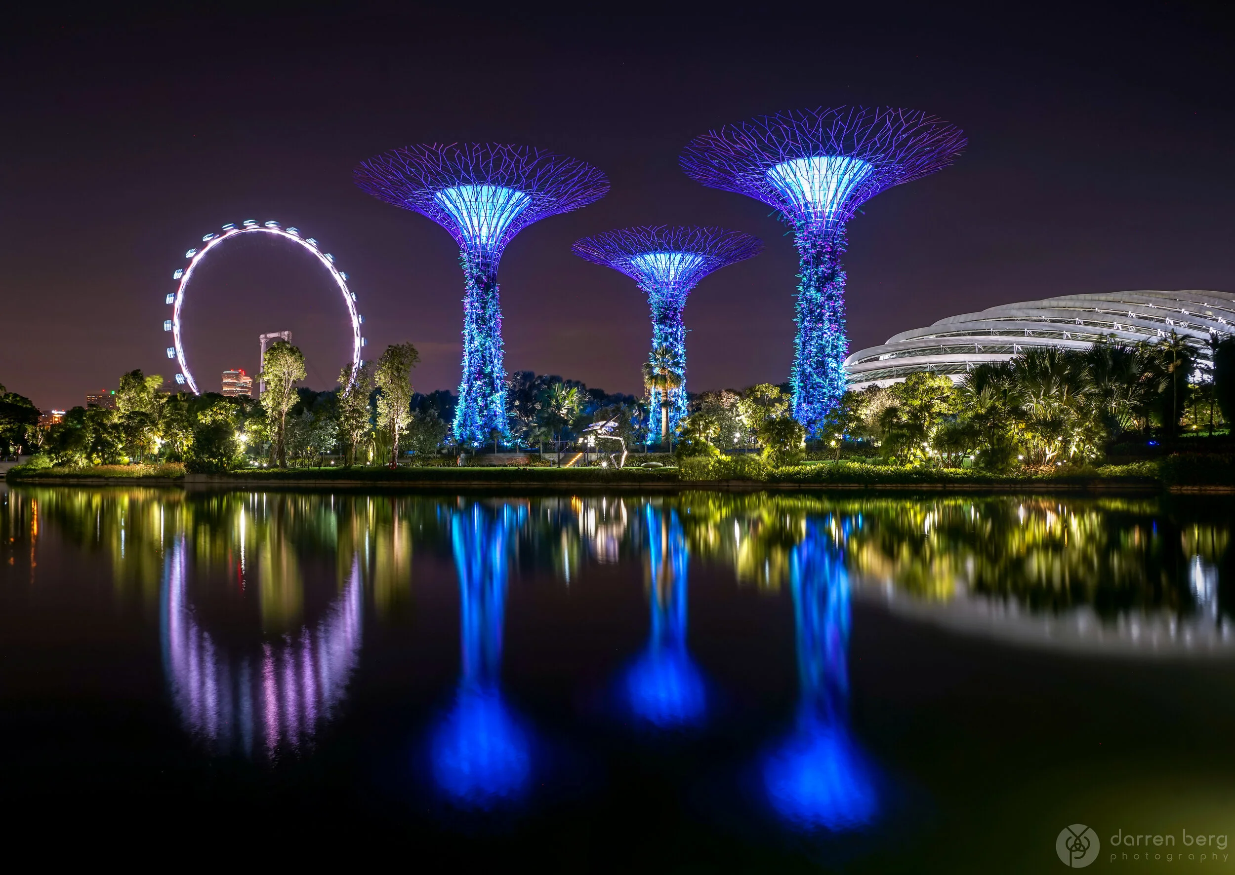 Super Trees reflected at Gardens by the Bay.jpg