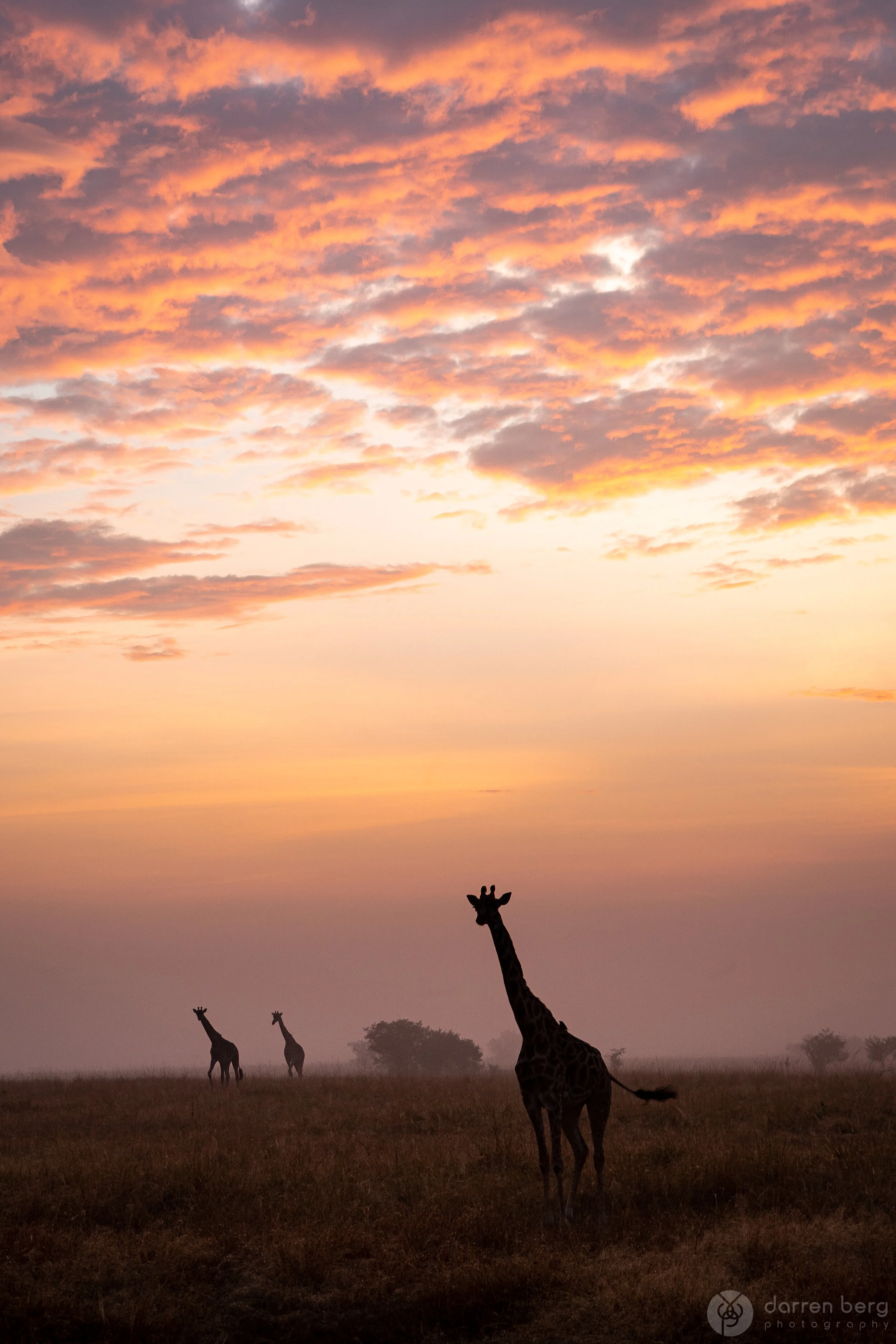 Magical Mara Morning.jpg