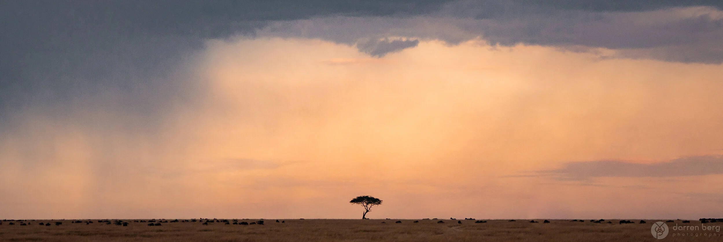 Strom Approaching Over The Maasai Mara.jpg