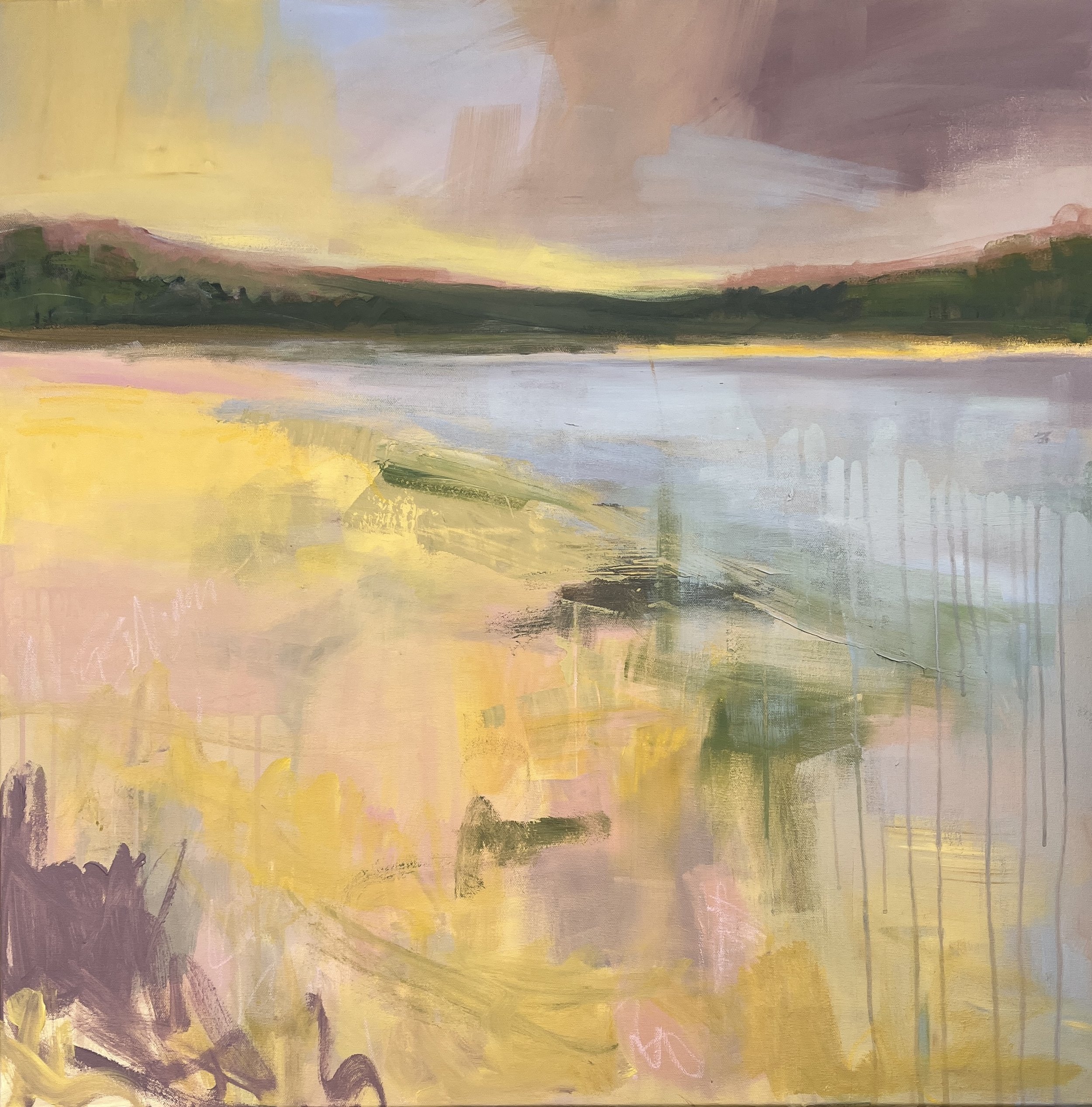 Marsh Light