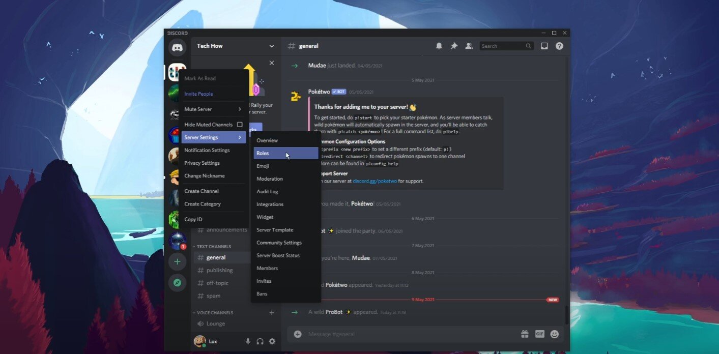How to use probot discord