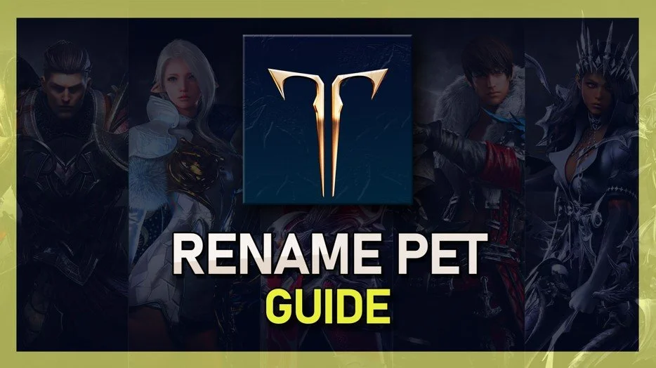Lost Ark - How To Rename Pet