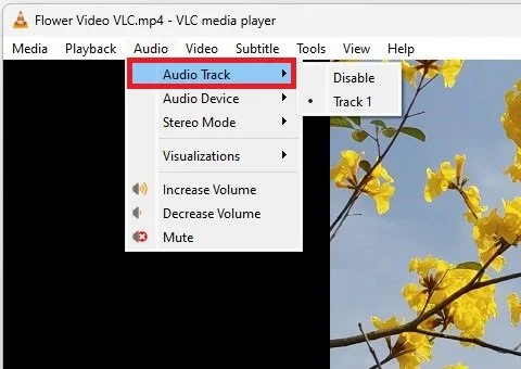 How Do You Change Audio Track In Vlc Media Player? – EIZJO
