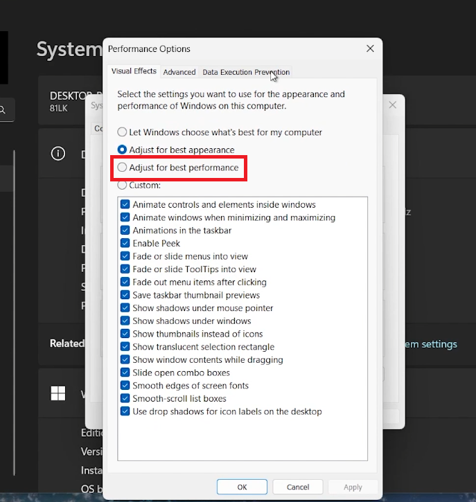 Windows Performance Options and visual effects dialog