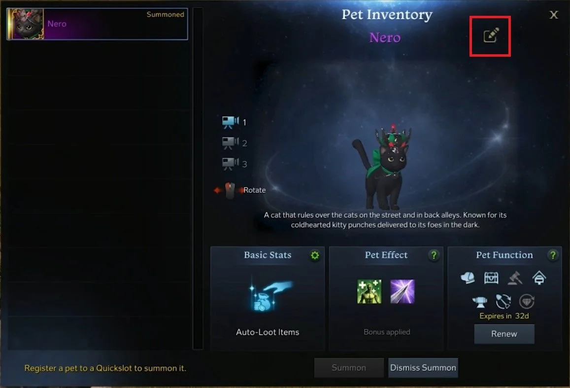 Lost Ark How To Rename Pet — Tech How