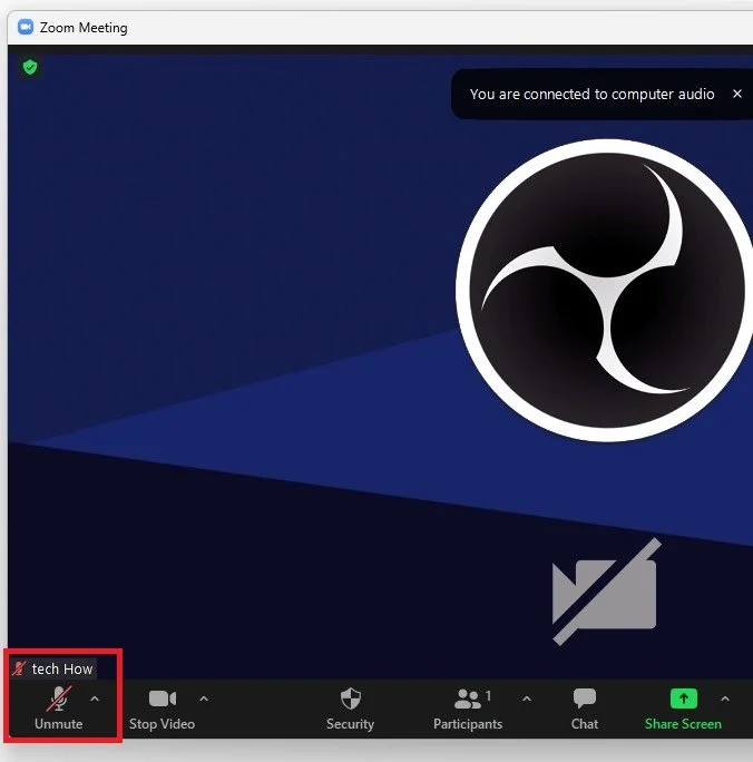 How To Mute & Unmute Mic In Zoom Meeting — Tech How