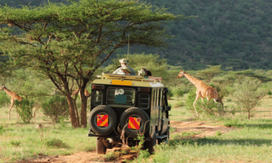 13 Biggest Mistakes To Avoid When On A Safari