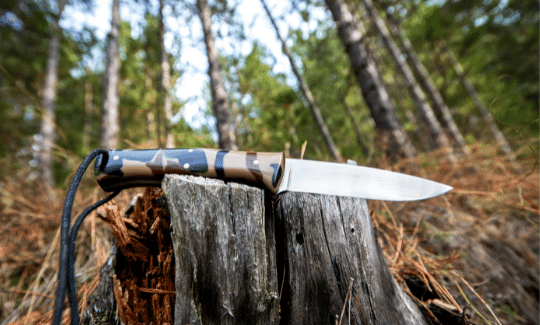 Carbon vs Stainless Steel Knives: The Pros and Cons