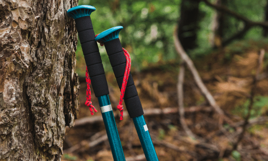5 Tips To Help You Choose The Best Hiking Poles: A Trekking Guide