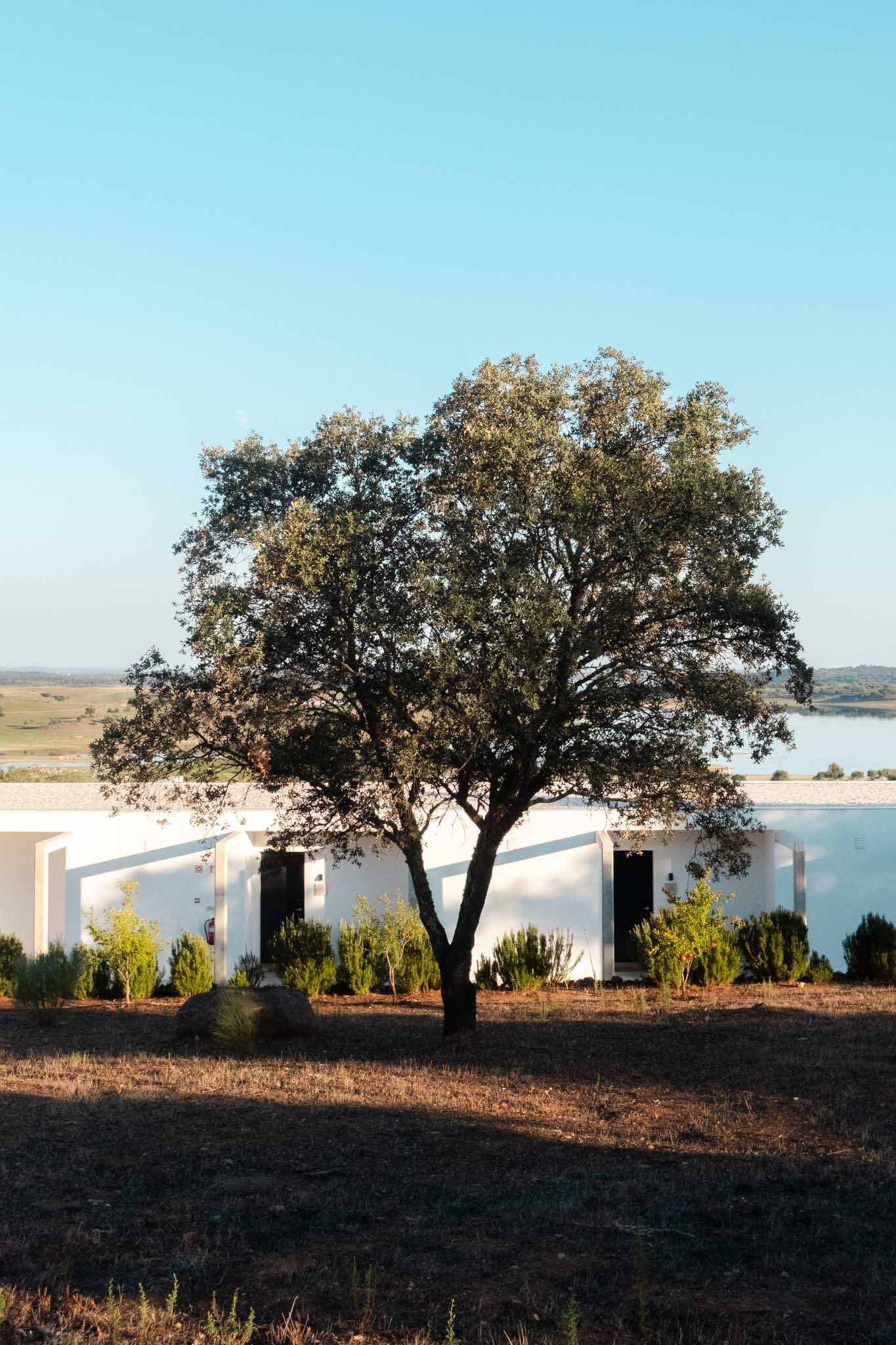 Alentejo Architecture Montimerso Hotel - Montimerso SkyScape Country House - Eco Friendly Hotel in Alentejo Portugal - The Wildest Road Blog.jpg
