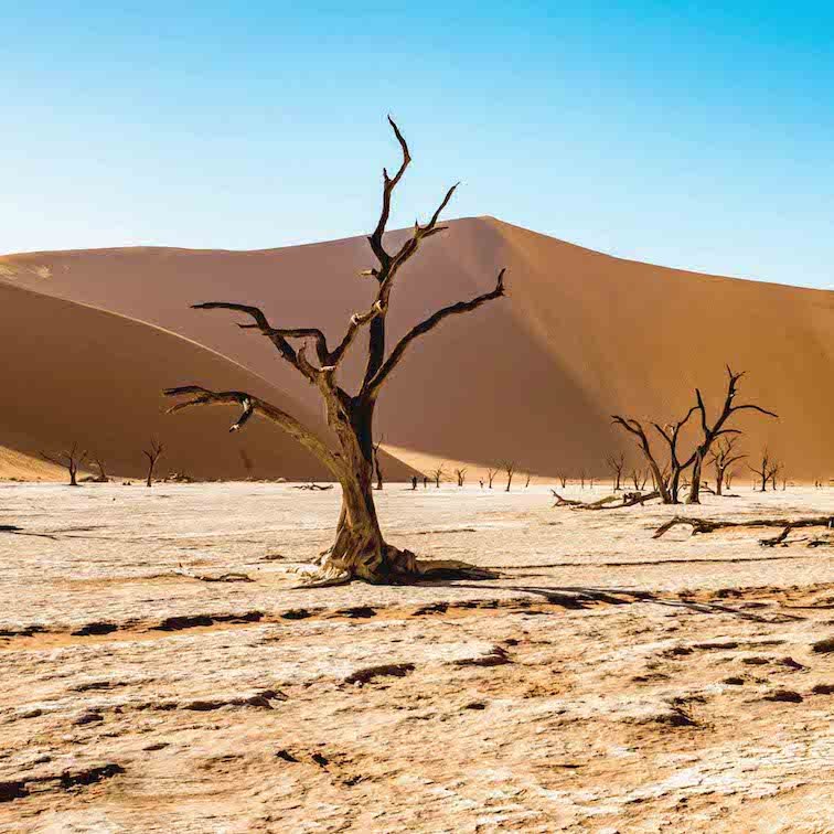 Namibia Desert - Best Countries in African to Go on a Safari.jpg