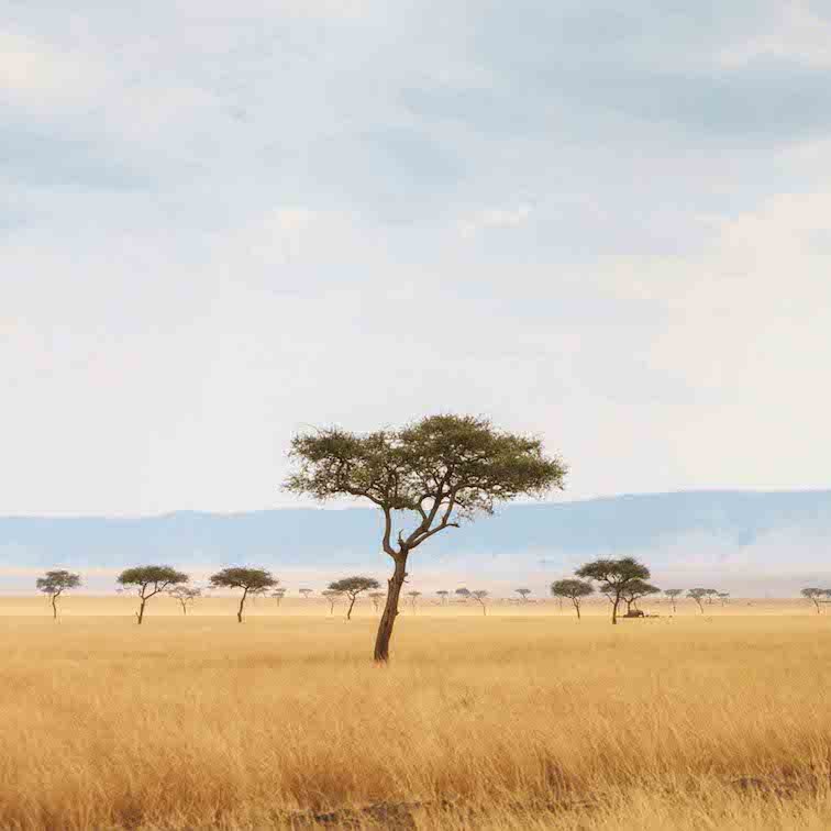 Kenya Landscape - Best Countries in African to Go on a Safari.jpg