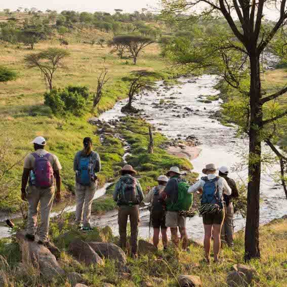 What is a Walking Safari - Game Drives vs Walking Safaris - Which one is best and which is for you - The Wildest Road Blog.jpg