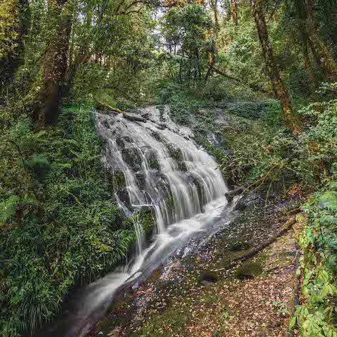 Waterfall Northern Thailand - Visiting Chiang Mai Thailand - 7 Things to Know Before Travelling to Chiang Mai - The Wildest Road Blog.jpg