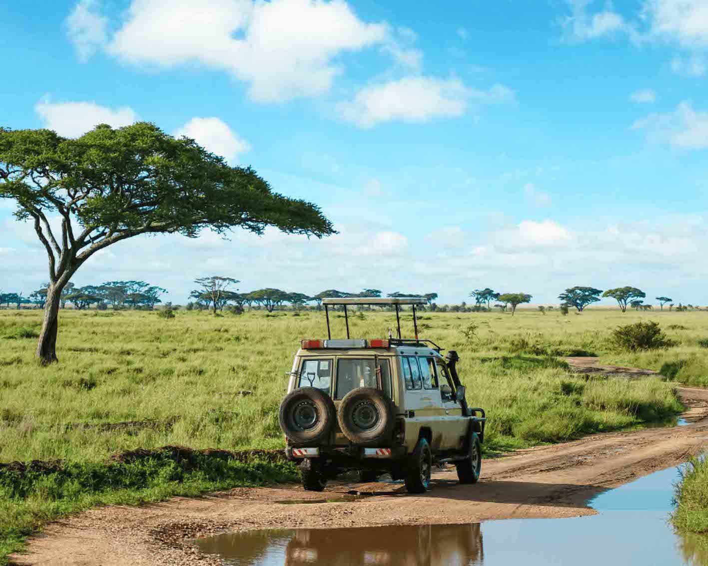 biggest safari in africa