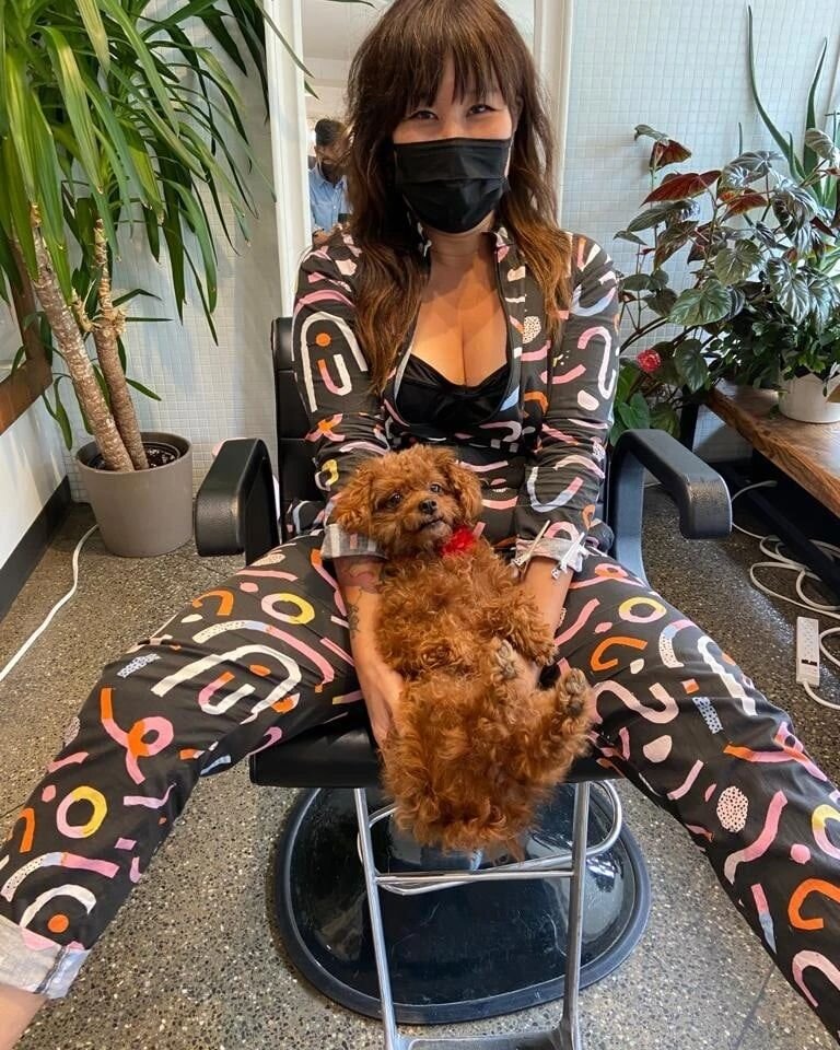 Zinc salons mascot Cola ❤️ 
Cola is at the salon from Wednesday to Sunday. Enjoy a cuddle with her while you get your hair done!!!
#zinchair #dogs #vancouverisawesome #vancouverstylist #behindthechair #salondogs