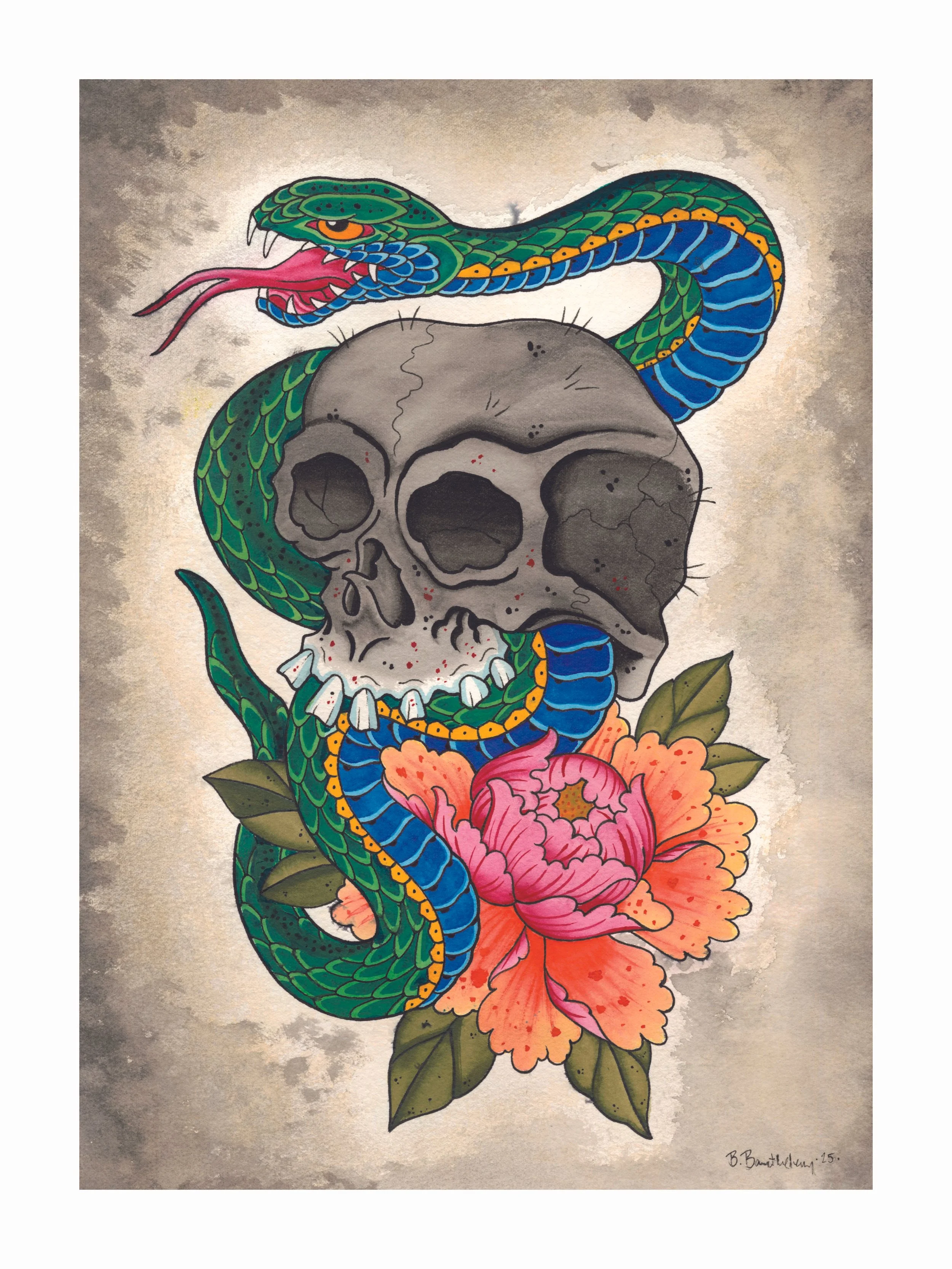Skull And Snake by Barry Barthelemy