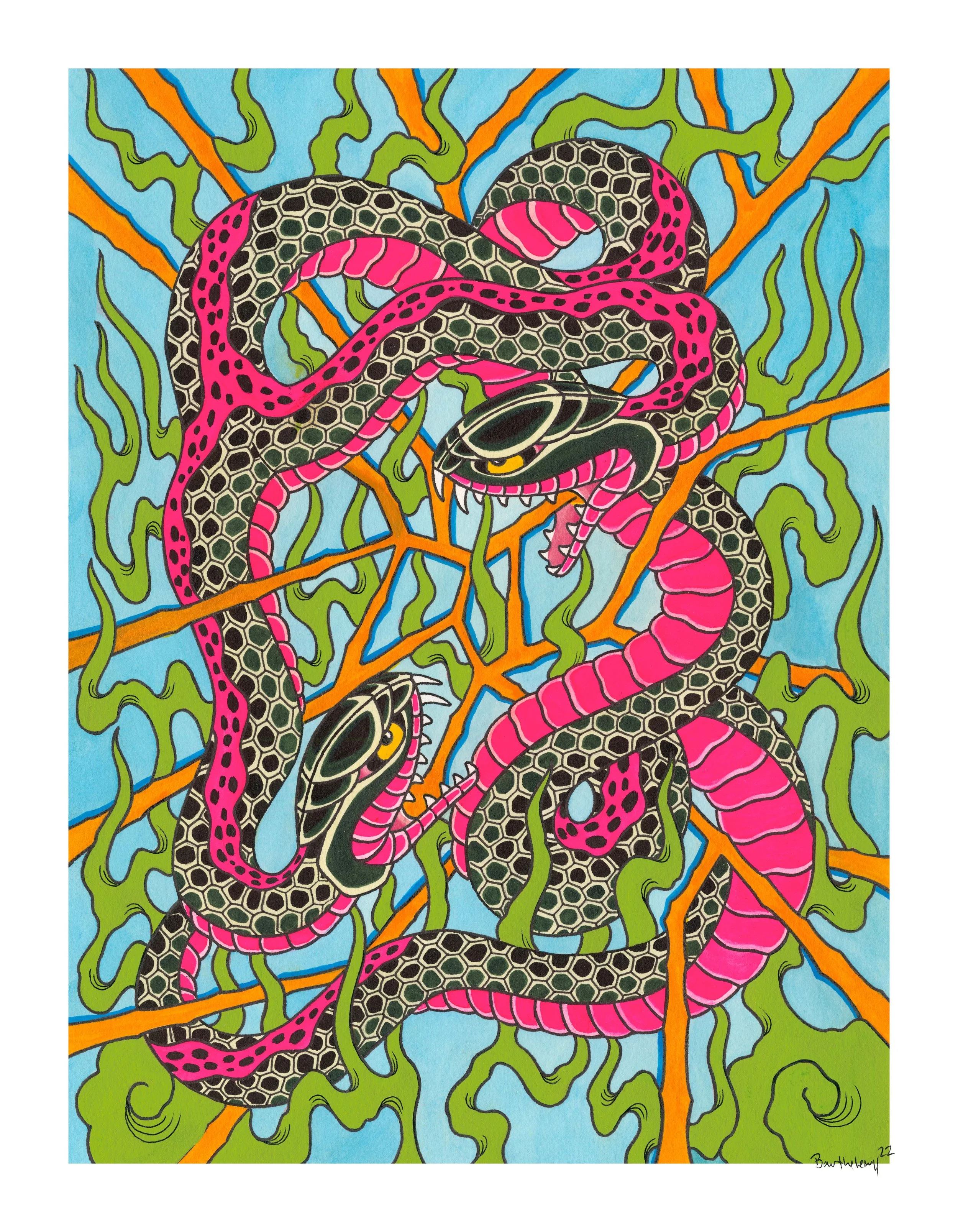 Neon Snake by Barry Barthelemy
