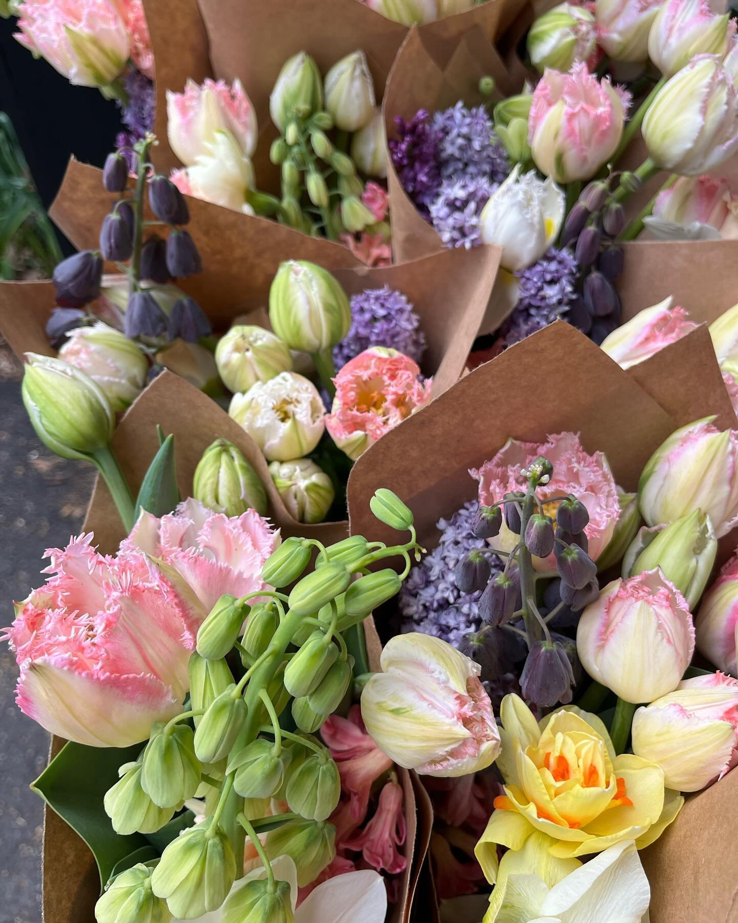 One, Two or Three? 

Which of our three bouquets palettes from yesterday is your favorite? 

Feeling very lucky to have so many beautiful flowers in bloom right now. Thank you to all our CSA members and flower friends who have visited this week. 💗