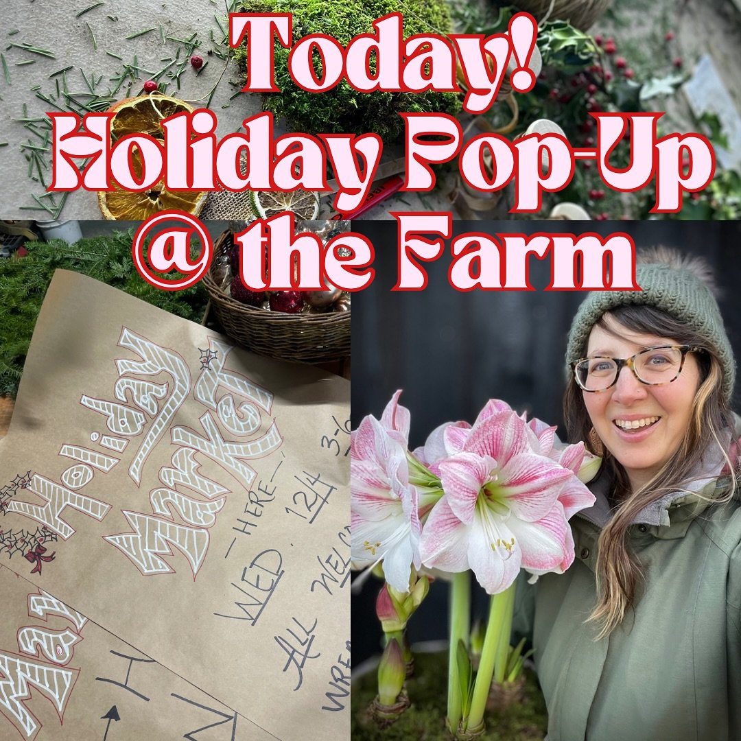 Today! 

Our 1st ever Alchemy Farmhouse Holiday Pop-Up Shop is today from 3-6pm in Gardiner. Come join us! 

I&rsquo;m so excited to greet all our flower friends when they pick up their preorders and share all the blooming amaryllis, wreaths &amp; ti