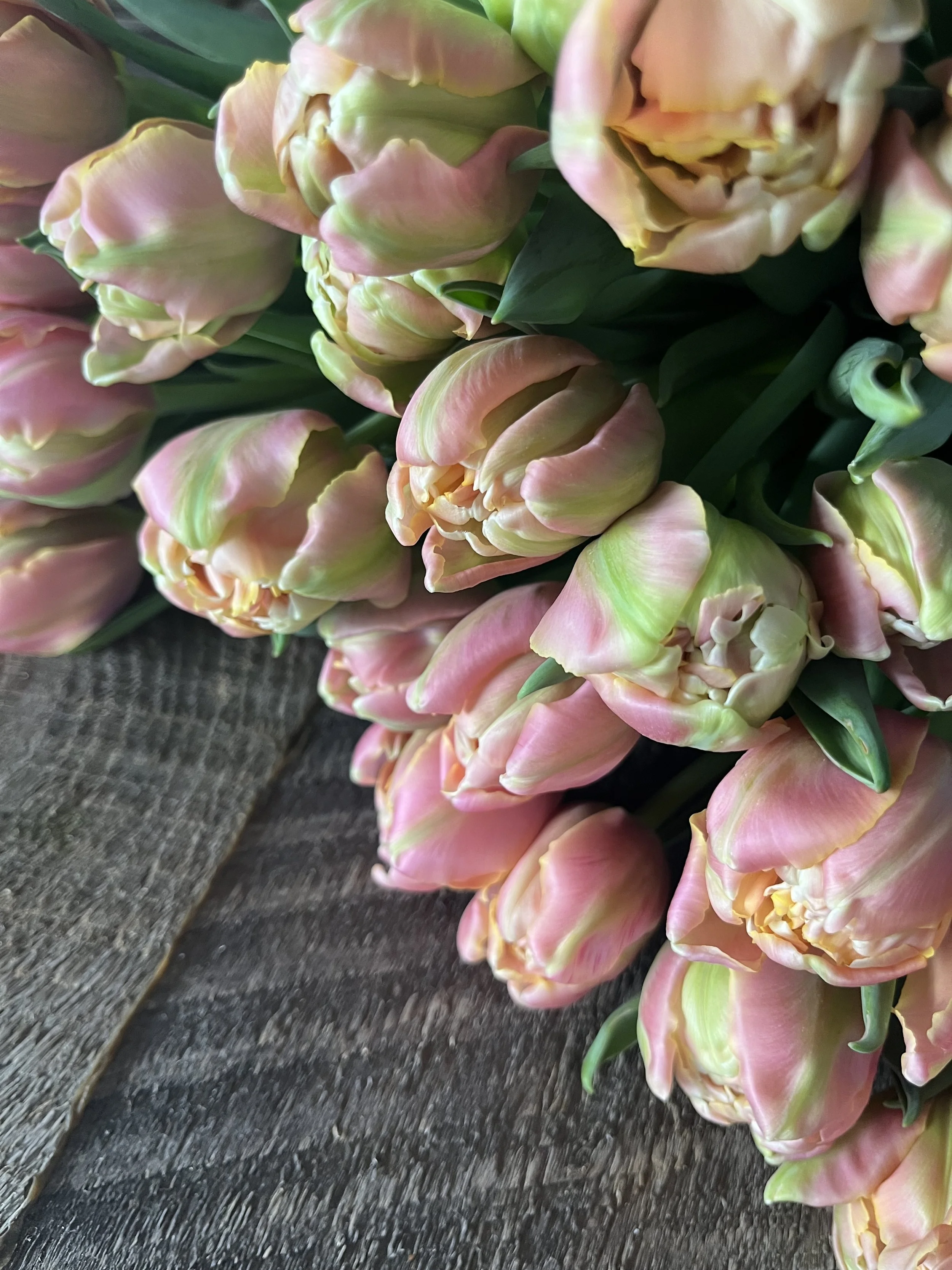 pink star tulip wood grain.jpg (Copy)