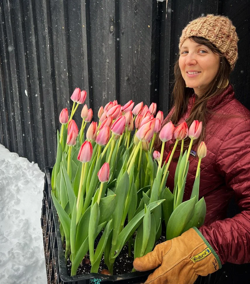 farmer lauren with flowers in the snow