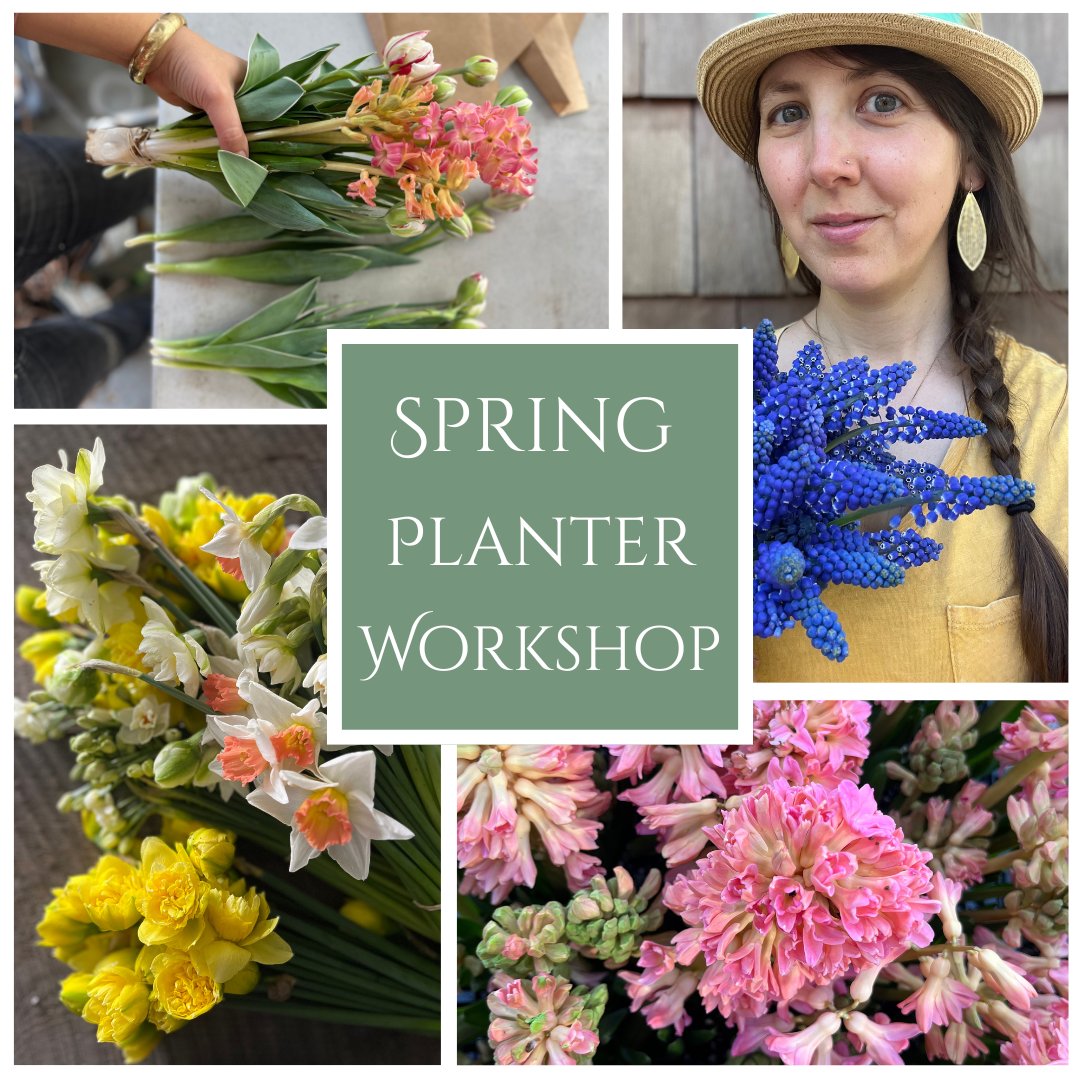 Spring Planter Workshop.png