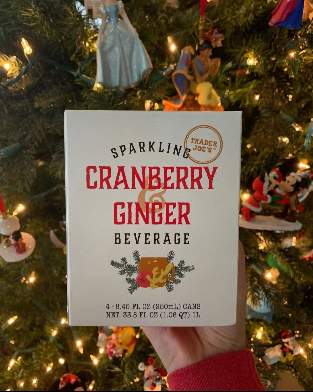 Sparkling Cranberry Ginger Beverage — Mrs. Trader Joe's