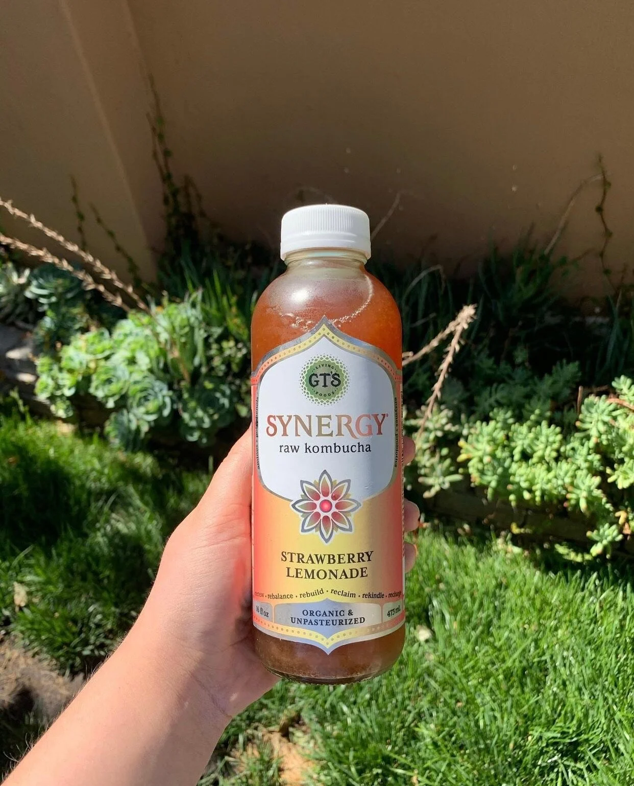 Synergy Strawberry Lemonade Kombucha — Mrs. Trader Joe's