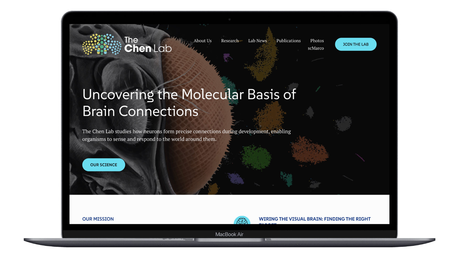 Chen Lab website design after redesign