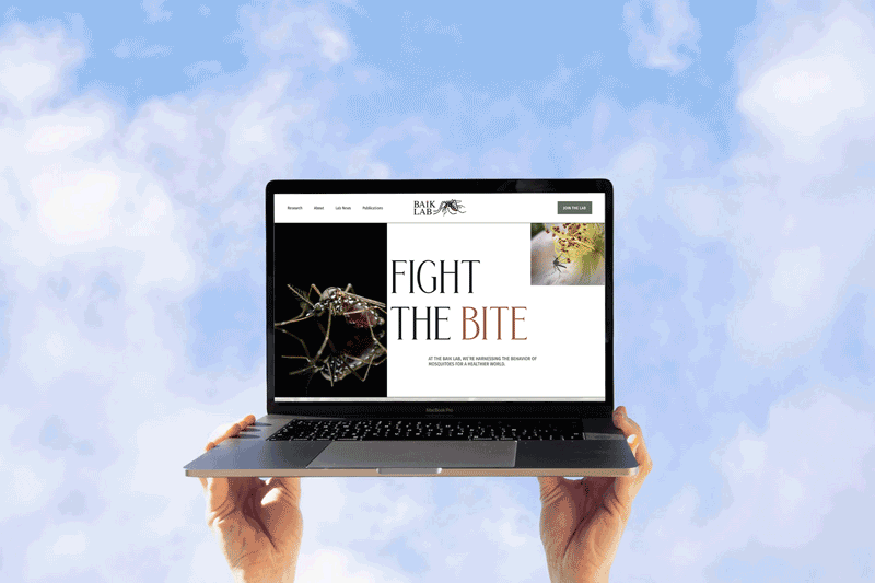 Laptop displaying the Baik Lab website for mosquito research, held by two hands against a cloudy sky background.