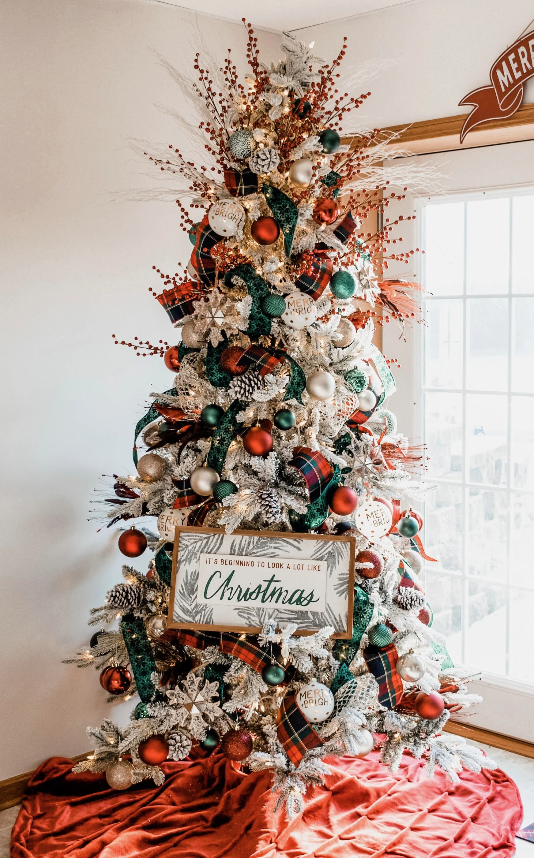 Christmas Trees — Hummingbird Hill Flower Farm