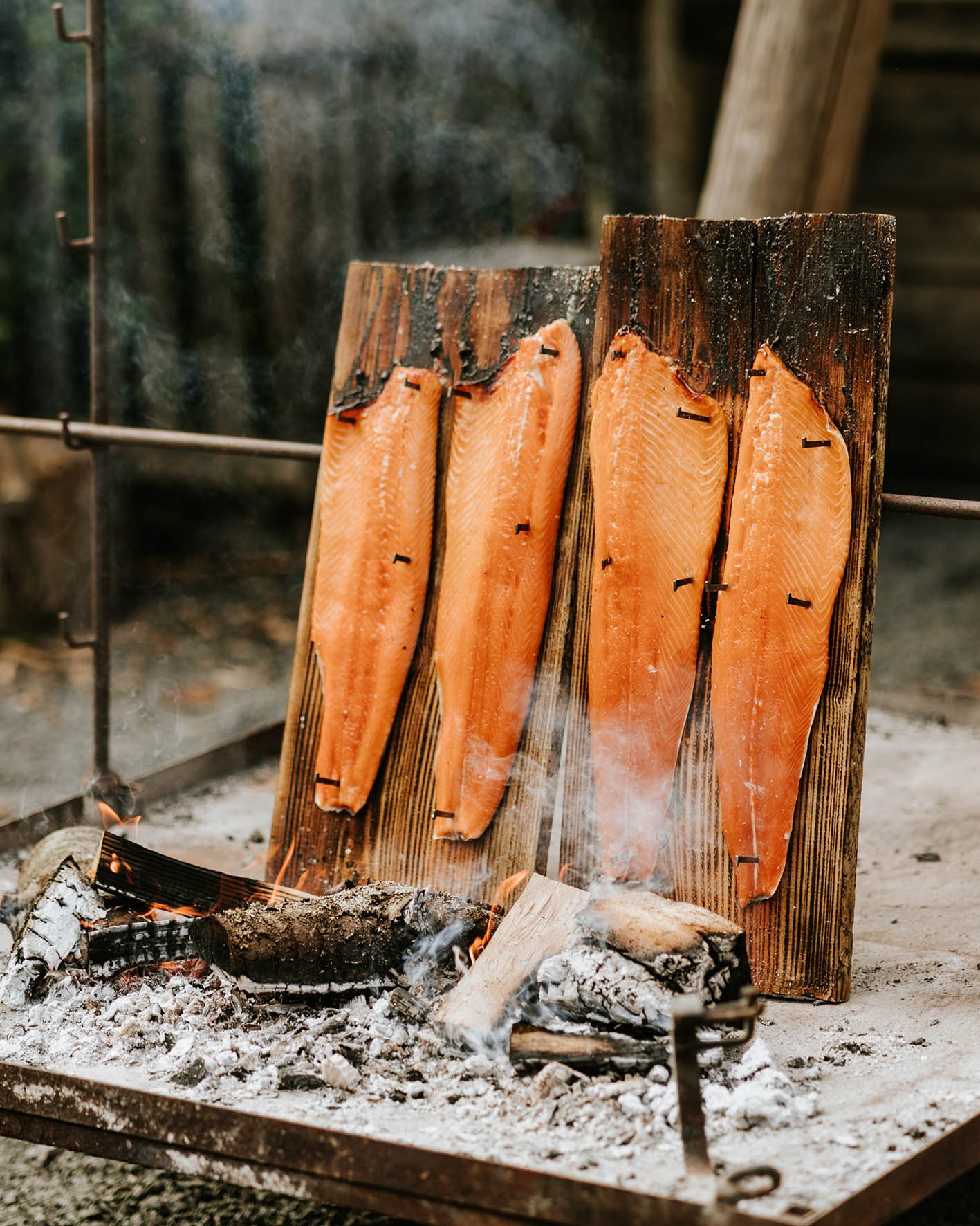 wild-by-nature-outdoor-cooking-open-fire-trout.JPG