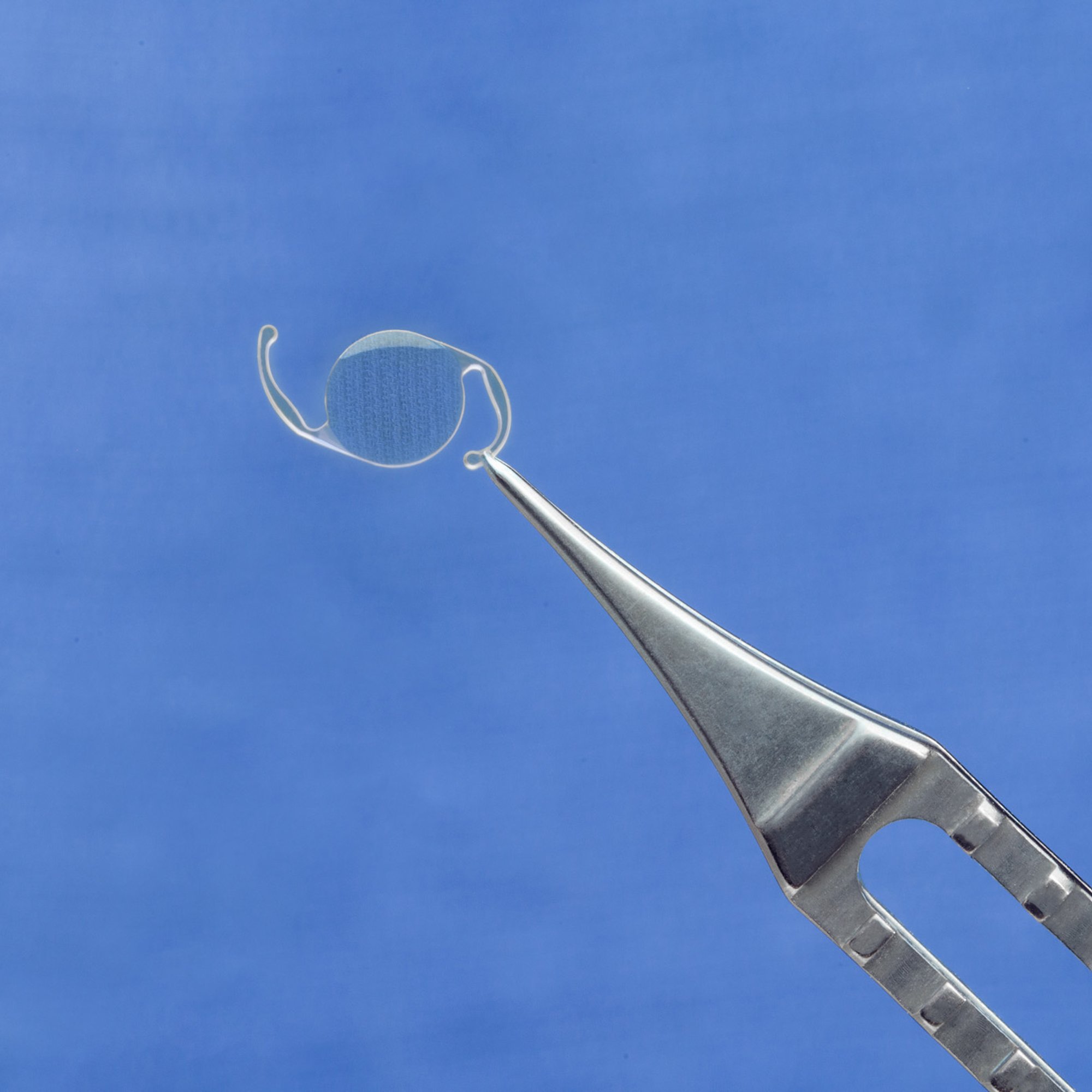  intra ocular lens help by forceps against a blue background 