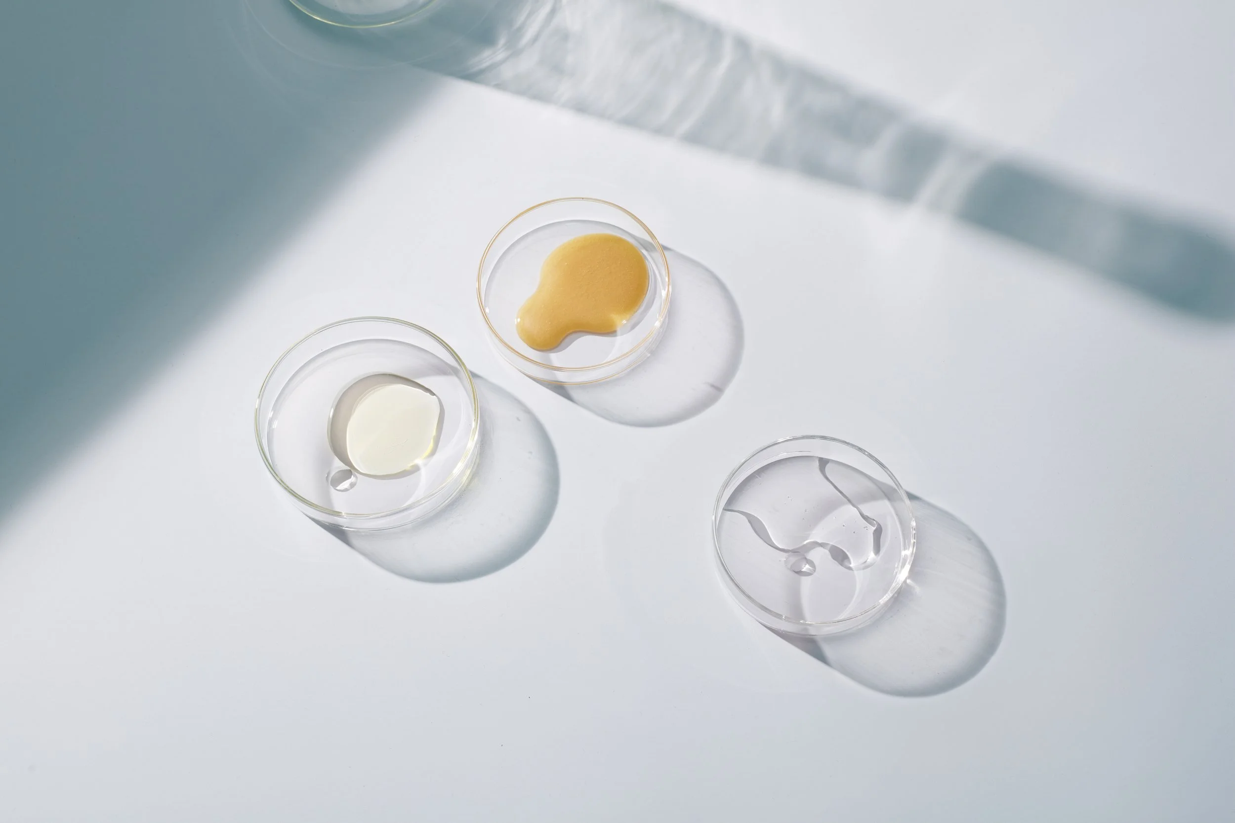 Ingredients in Dishes.jpg