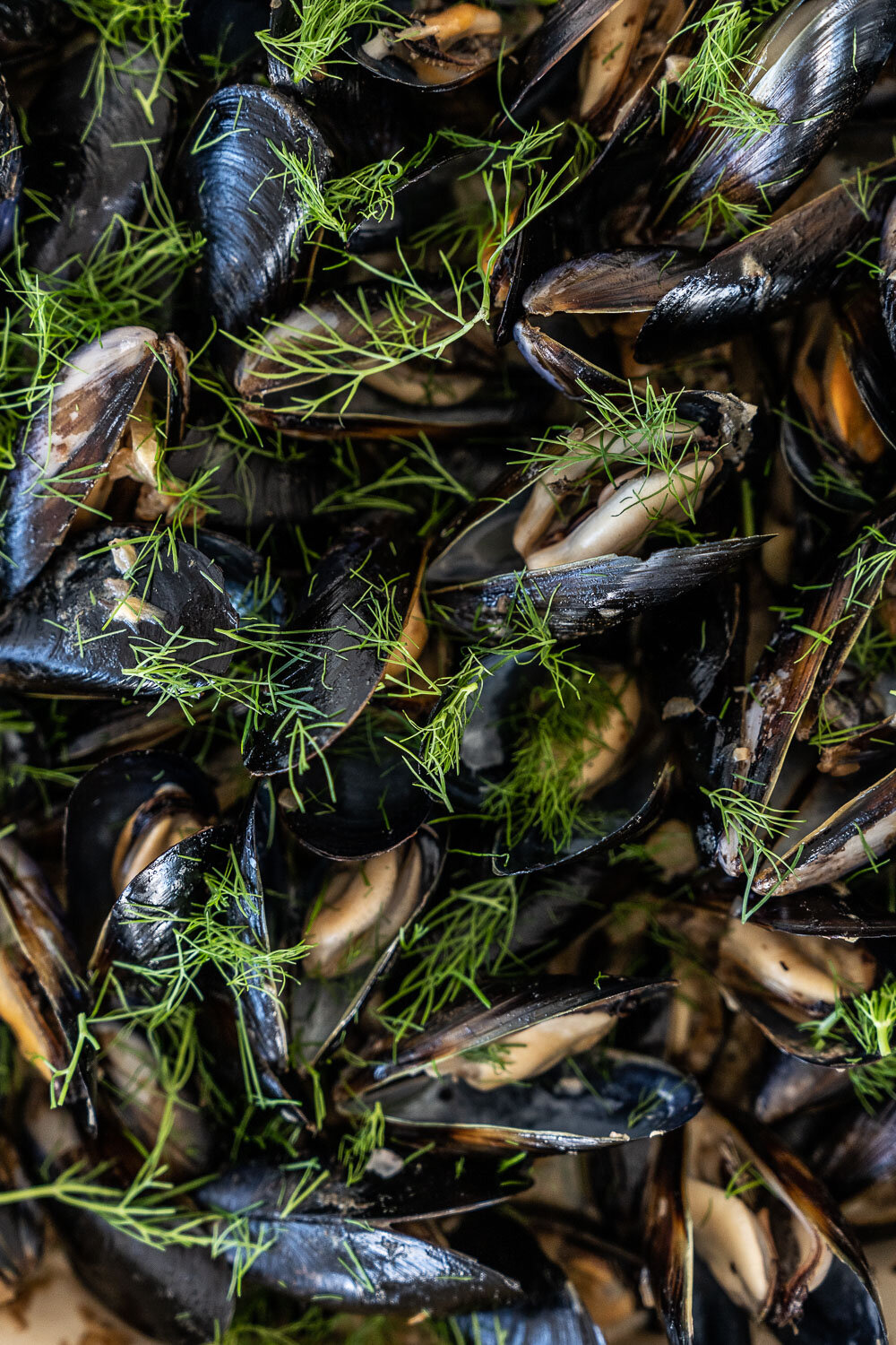 Mussels-with-Fennel-Cream_Secret-Supper-x-Ashley-Rodriguez-7.jpg