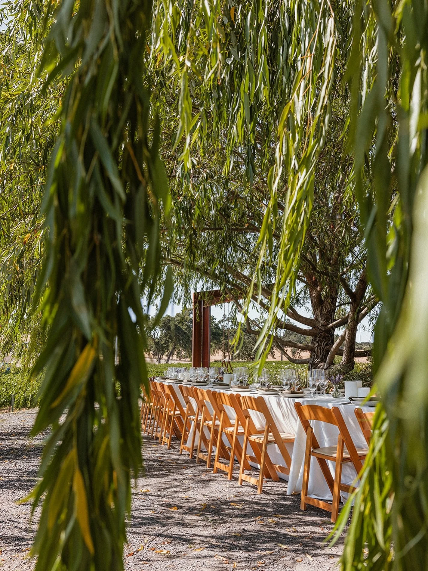 Mailing list subscribers, check your inboxes! 

We just sent out a ticket link for the first release of 2026 Supper and Culinary Pursuits. Inventory goes live tomorrow at 12 pm EST exclusively for mailing list subscribers. We can&rsquo;t wait to see 